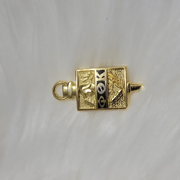🖤Phi Theta Kappa Honor Society induction pin - Picture 4 of 4